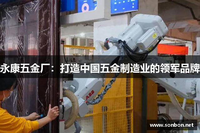 永康五金厂：打造中国五金制造业的领军品牌
