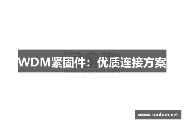 WDM紧固件：优质连接方案